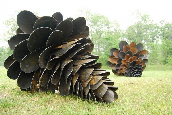 Giant Pinecones